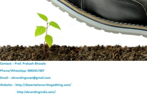 eBranding India Provides the Best Seed Funding Consultation 
